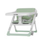 Стульчик - бустер для кормления CARRELLO Ergo CRL-8403 Ash Green/4/