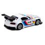 Автомодель - BMW Z4 GT3 (белый)