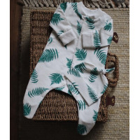 Человечек папороть на белом