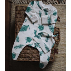 Человечек папороть на белом