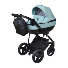 Универсальная коляска 2в1 Angelina Kapris, ментол, color 3