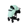 Универсальная коляска 2в1 Angelina Phaeton Shine, ментол, color 9