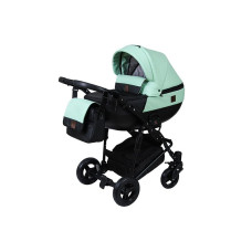 Универсальная коляска 2в1 Angelina Phaeton Shine, ментол, color 9