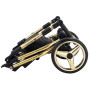 Коляска 2 в 1 Adamex Barcelona  Polar (Gold) BR619