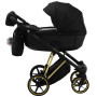 Коляска 2 в 1 Adamex Belissa Special Edition Gold PS-569 черный (перфорация)