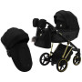 Коляска 2 в 1 Adamex Belissa Special Edition Gold PS-569 черный (перфорация)